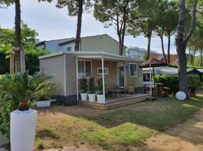 Luxury Caravan at Union Lido
